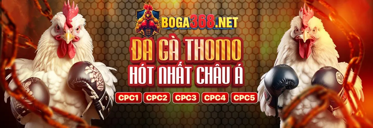 Cá cược Thể Thao tại tip88 trang chủ chính thức